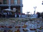infiorata (96)